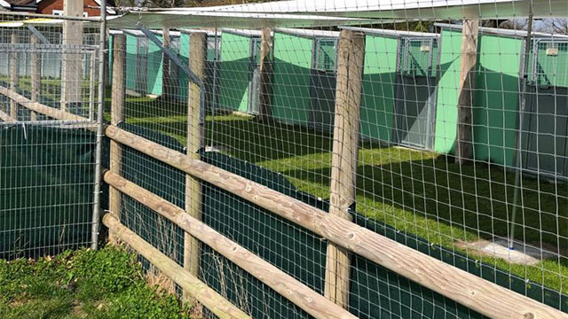 Dog Kennels and Doggy Day Care