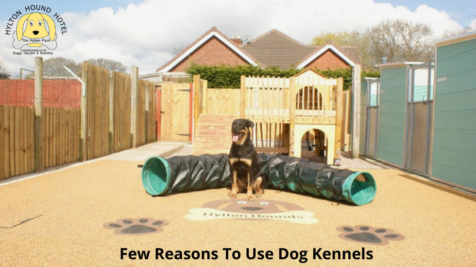 Few Reasons To Use Dog Kennels In Bromsgrove